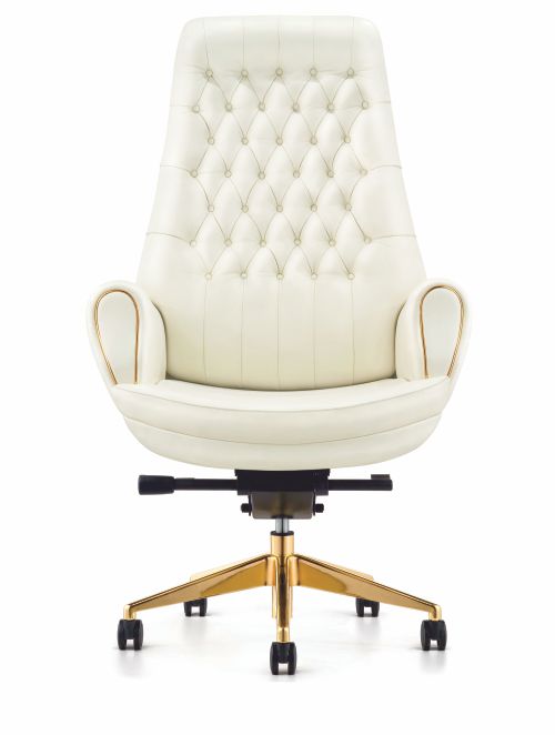 Executive Director Chair