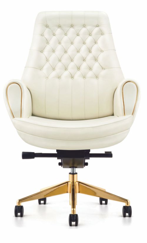 Executive Director Chair