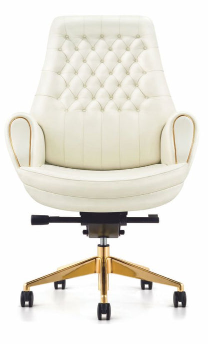 Executive Director Chair